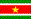 [Country flag of Suriname]